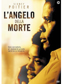 Angelo Della Morte (L')