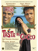 Teste Di Cocco