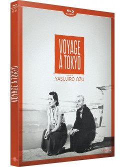 Voyage A Tokyo (VOSTF) [Edizione: Francia]