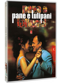 Pane E Tulipani