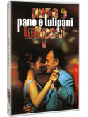 Pane E Tulipani