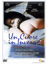 Cuore In Inverno (Un)