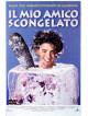 Mio Amico Scongelato (Il)