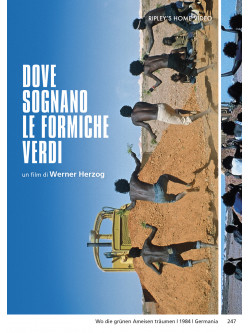 Dove Sognano Le Formiche Verdi