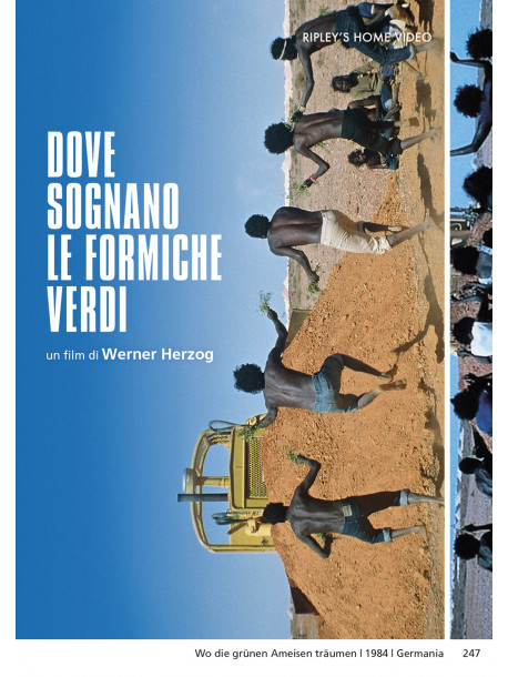 Dove Sognano Le Formiche Verdi