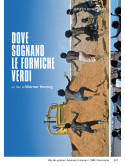 Dove Sognano Le Formiche Verdi