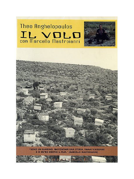 Volo (Il)