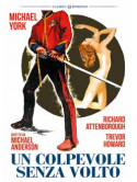 Colpevole Senza Volto (Un)