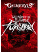 Galneryus - Falling Into The Flames Of Purgatory (3 Dvd) [Edizione: Giappone]