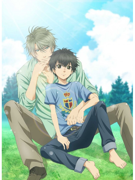 Abe Miyuki - Super Lovers 5 (2 Dvd) [Edizione: Giappone]