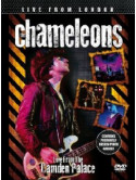 Chameleons (The) - Live From London
