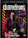 Chameleons (The) - Live From London