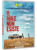 Male Non Esiste (Il)
