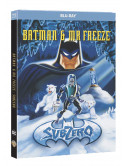 Batman Et Mr Freeze Subzero [Edizione: Francia]