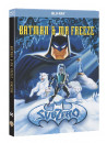Batman Et Mr Freeze Subzero [Edizione: Francia]