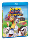 Pedro Galletto Coraggioso