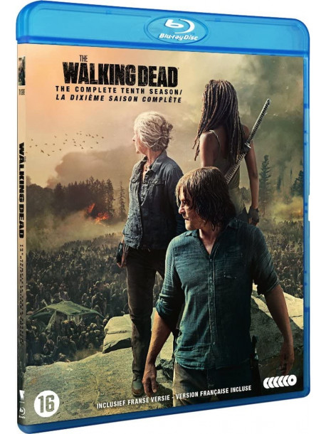 The Walking Dead Saison 10 (6 Blu-Ray) [Edizione: Francia]