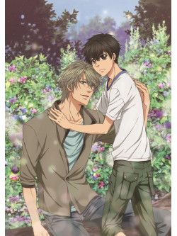 Abe Miyuki - Super Lovers 2 5 (2 Dvd) [Edizione: Giappone]