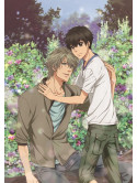 Abe Miyuki - Super Lovers 2 5 (2 Dvd) [Edizione: Giappone]