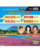 (Karaoke) - Onta Station W [Edizione: Giappone]
