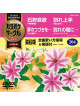 (Karaoke) - Chogensen Karaoke Circle W Best 4 [Edizione: Giappone]