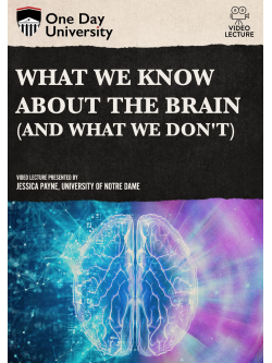 What We Know About The Brain [Edizione: Stati Uniti]