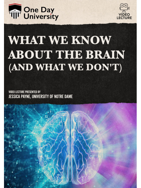 What We Know About The Brain [Edizione: Stati Uniti]