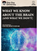 What We Know About The Brain [Edizione: Stati Uniti]