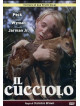 Cucciolo (Il)