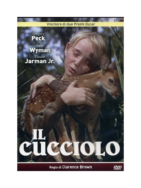 Cucciolo (Il)