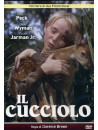 Cucciolo (Il)