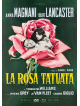 Rosa Tatuata (La) (Special Edition) (Dvd+Blu-Ray Mod)