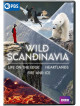 Wild Scandinavia [Edizione: Stati Uniti]