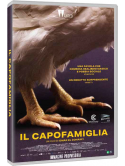 Capofamiglia (Il)