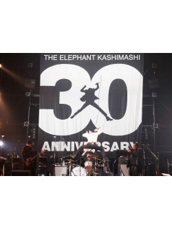 The Elephant Kashimashi - 30Th Anniversary Tour 'The Fighting Man' Final Saitama Super Arenalimi (4 Dvd) [Edizione: Giappone]