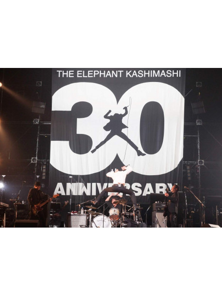 The Elephant Kashimashi - 30Th Anniversary Tour 'The Fighting Man' Final Saitama Super Arenalimi (4 Dvd) [Edizione: Giappone]