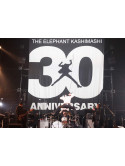 The Elephant Kashimashi - 30Th Anniversary Tour 'The Fighting Man' Final Saitama Super Arenalimi (4 Dvd) [Edizione: Giappone]