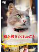 (Documentary) - Kedi [Edizione: Giappone]