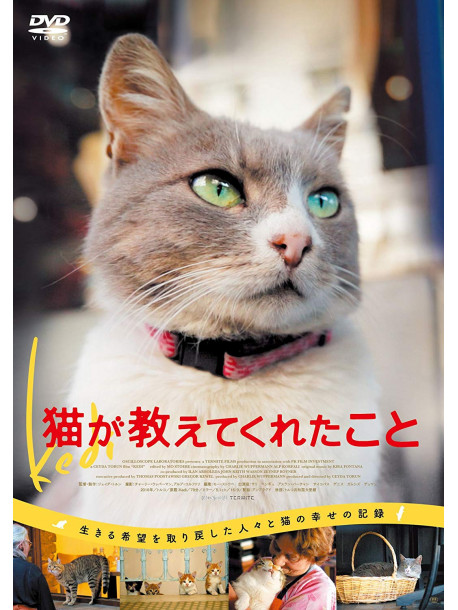 (Documentary) - Kedi [Edizione: Giappone]