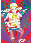 Turned Up In Budokan (2 Dvd) [Edizione: Stati Uniti]