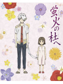 Animation - Hotarubi No Mori He [Edizione: Giappone]