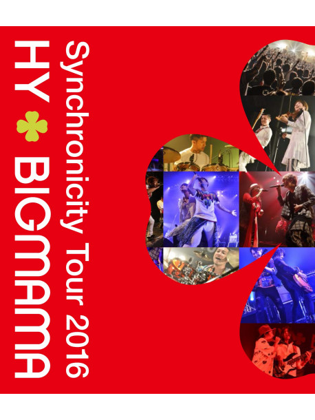 Hy + Bigmama - Synchronicity Tour 2016 [Edizione: Giappone]