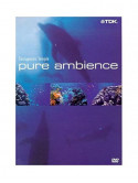 Therapeutic Temple Pure Ambience