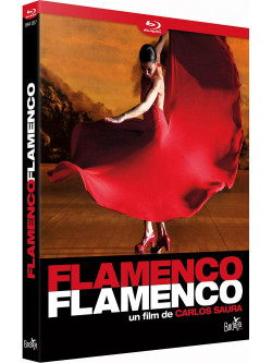 Flamenco Flamenco [Edizione: Francia]