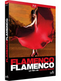 Flamenco Flamenco [Edizione: Francia]