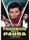 Prigioniero Della Paura