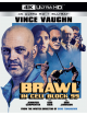 Brawl In Cell Block 99 [Edizione: Stati Uniti]