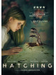 Hatching [Edizione: Paesi Bassi]