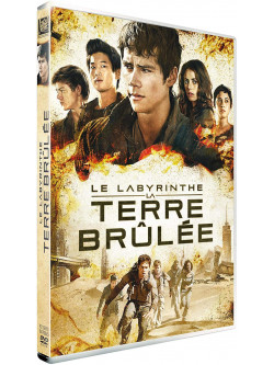 Le Labyrinthe La Terre Brulee [Edizione: Francia]