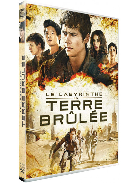 Le Labyrinthe La Terre Brulee [Edizione: Francia]